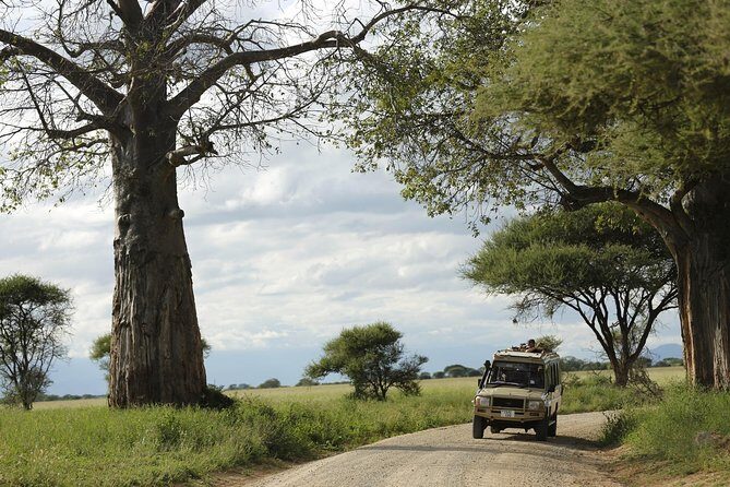 3-Days Tanzania Safari Tours - Accommodation and meals: tented-camp style, with the right rhythm