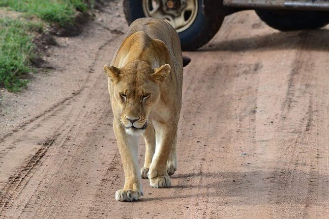 3 days Tarangire, Ngorongoro & Lake Manyara package - The route: Tarangire, Ngorongoro, and Lake Manyara in 3 days