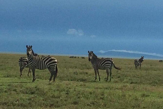 3 days Tarangire, Ngorongoro & Lake Manyara package - Practical tips so you get more from every day