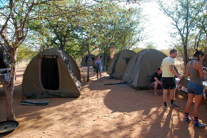 4-Day Basic Safari with Serengeti, Ngorongoro, & Tarangire - Serengeti Day Three at 06:30: Sunrise Is When Predators Get Active