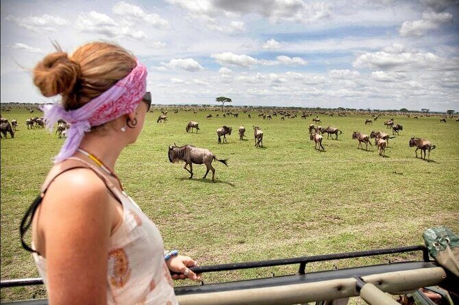4-Day Basic Safari with Serengeti, Ngorongoro, & Tarangire - Ngorongoro Day Four: The 600-Meter Descent Into a Wildlife Caldera