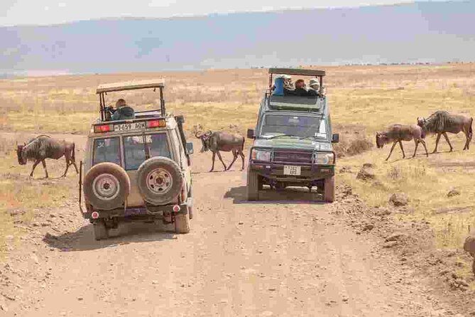 4-Day Basic Safari with Serengeti, Ngorongoro, & Tarangire - Serengeti Day Two: Naabi Hills Gate, Afternoon Eyes, and Herd-Watching Time