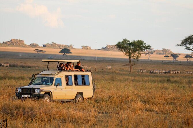 4-Day Budget Tarangire, Serengeti, Ngorongoro Safari Guided Tour - Key Highlights You’ll Feel on Day 1