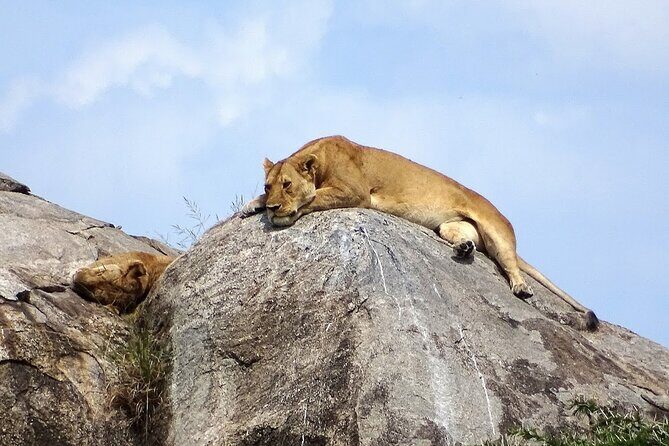 4-Day Camping on the Big Five Private Safari - Ngorongoro Crater: the 2,000 ft descent and why black rhino is on the radar