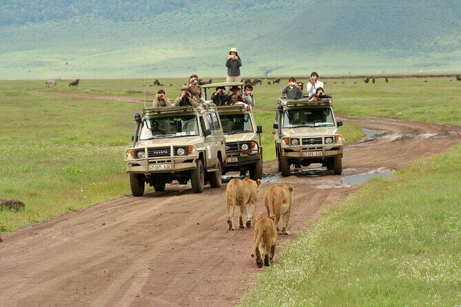 4-Day Camping on the Big Five Private Safari - Getting around: long drives, early starts, and how the schedule supports sightings