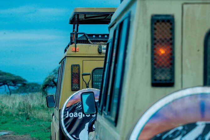 4-Day Group Joining Safari in Tanzania | Shared Safari - Day 2 in Serengeti: From Karatu Farmland to Seronera River Wildlife