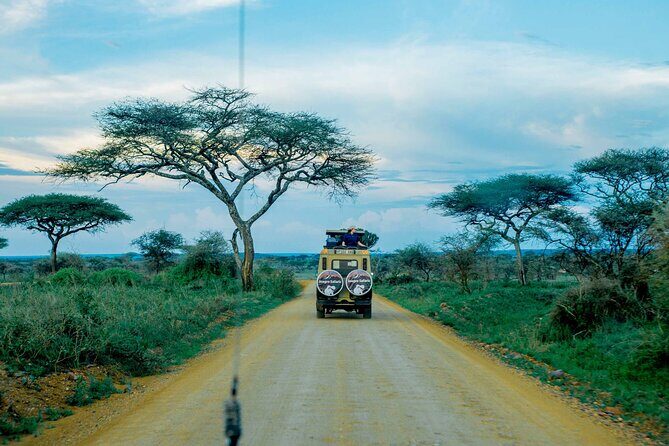 4-Day Group Joining Safari in Tanzania | Shared Safari - Wildlife Viewing Tips for This Route (So You Don’t Miss the Good Stuff)