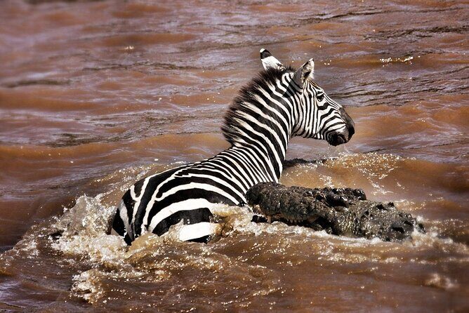4-Day Manyara Serengeti and Ngorongoro Wonders Budget Safari Tour - What this $903 budget safari gets you (and why it feels fair)