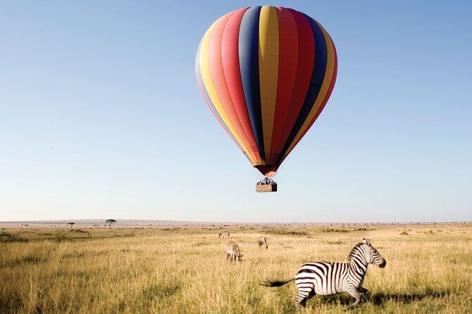 4-Day Manyara Serengeti and Ngorongoro Wonders Budget Safari Tour - The real deal: small-group Jeep, pop-up roof, and a driver-guide who matters