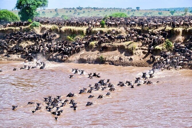 4-Day Northern Tanzania Camping Tour Safari - Value for Your Money: What’s Actually Included