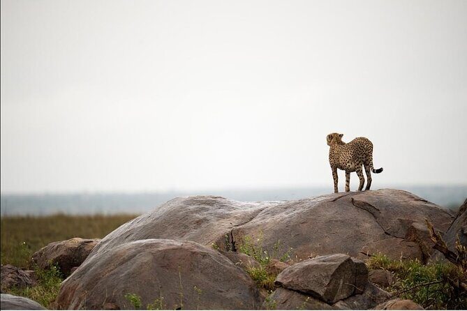 4-Day Private Lake Natron and Serengeti Wildlife Safari - The long drive north: why the road time matters on this safari