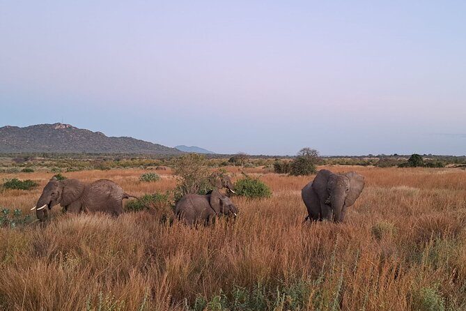 4-Day Private Lake Natron and Serengeti Wildlife Safari - Price and value: what $1,600 per person gets you