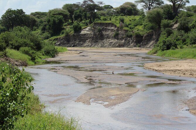 4-Day Safari in Tarangire, Serengeti & Ngorongoro (Mid-range) - Private Tour Style: Why “Only Your Group” Changes the Feel