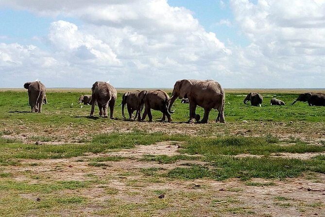 4-Day Safari: Lake Manyara, Serengeti & Ngorongoro - A budget-friendly safari route that hits three “wild modes”