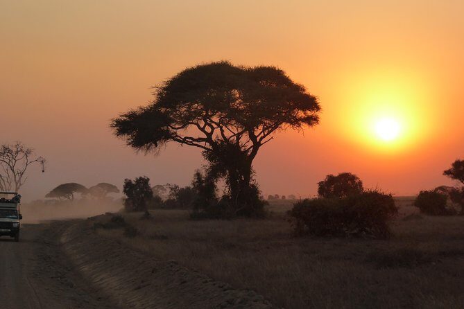 4-Day Safari: Lake Manyara, Serengeti & Ngorongoro - Lake Manyara: soda lake views, elephants, and a shot at tree-climbing lions