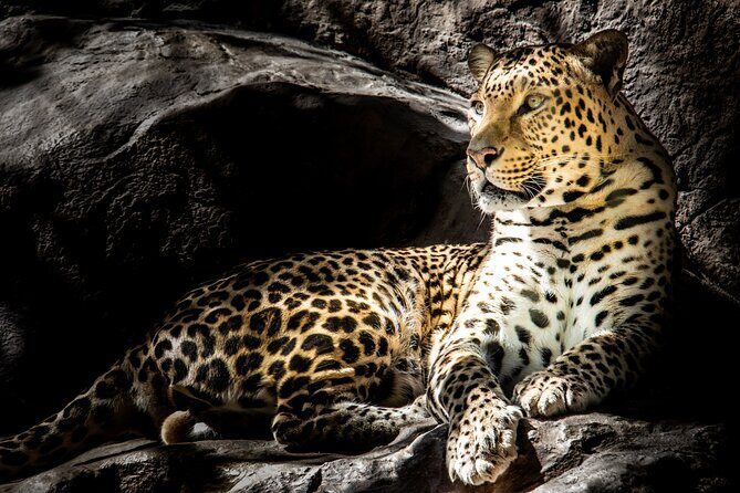4 Day Safari- Tarangire,Ngorongoro and Serengeti - Arusha Start: How This Northern Safari Circuit Fits Together