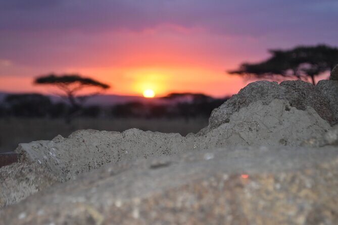 4 Day Safari- Tarangire,Ngorongoro and Serengeti - Practical Tips Before You Go (So Safari Feels Easier)