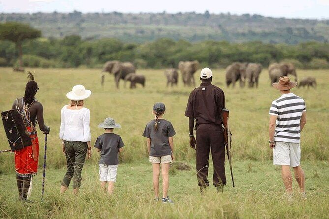 4 Day Safari- Tarangire,Ngorongoro and Serengeti - Tarangire National Park: Elephants, Baobabs, and Dry-Season Water Magic