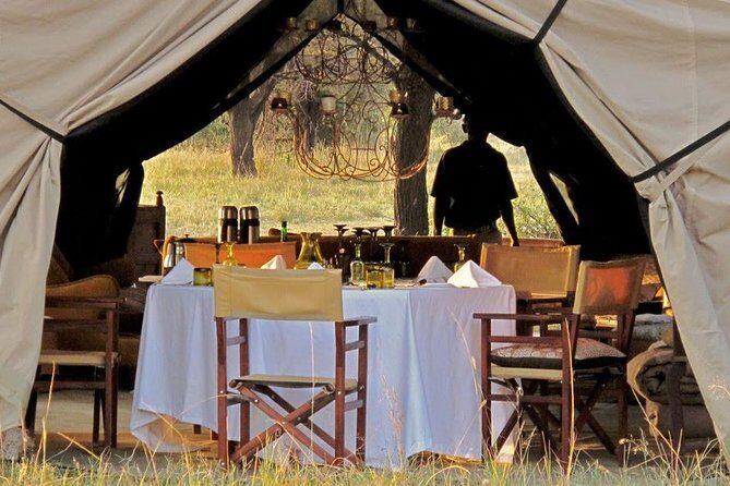 4 Day Serengeti Luxury Tented Camps Safari - A Luxury Serengeti Safari That Starts Smoothly in Moshi