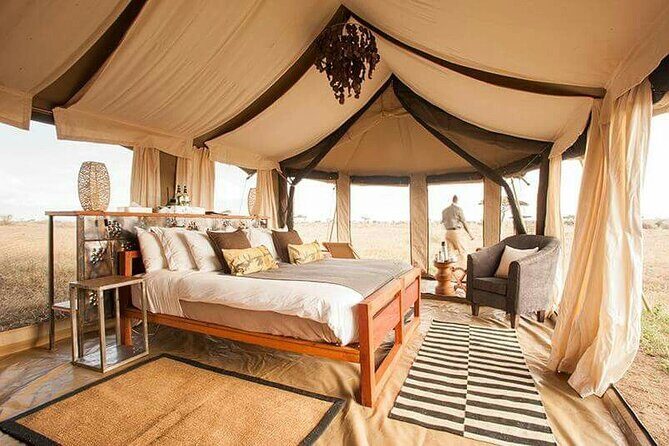 4 Day Serengeti Luxury Tented Camps Safari - Day 3: Early Serengeti Starts, Hippo Pool Moments, and Big Pride Chances