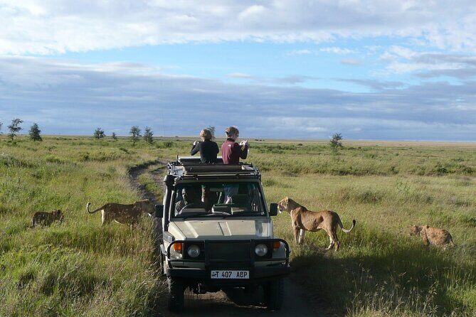 4-Day Serengeti, Ngorongoro, & Lake Manyara Budget Tour - Day 3: Serengeti to Ngorongoro Crater Descent (and Karatu Nights)