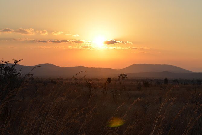 4 Day Serengeti & Ngorongoro Safari Wildlife Wonders of Tanzania - Day 1: Tarangire vs the Serengeti Start Confusion (Confirm This)