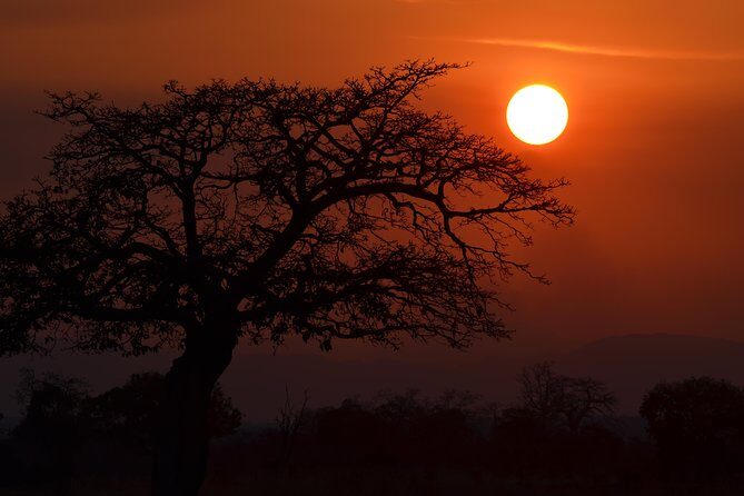 4 Day Serengeti & Ngorongoro Safari Wildlife Wonders of Tanzania - Price and Value: Is $1,450 Worth It?