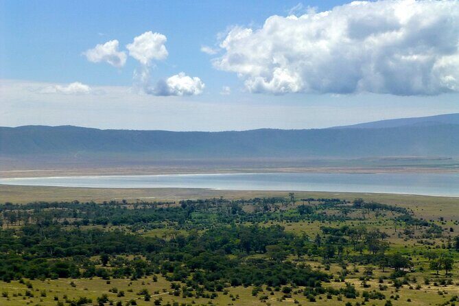 4 Day Tanzania Afordable Safari ft Two Night Serengeti - Ngorongoro Conservation Area: The 600-Meter Crater Descent