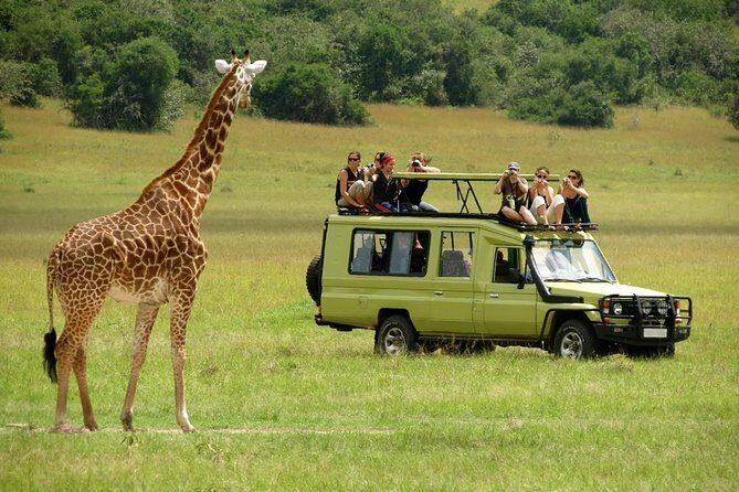 4-Day Tanzania Camping Safari to Lake Manyara, Serengeti, and Ngorongoro Crater - Why this 4-day camping safari feels practical (not just romantic)