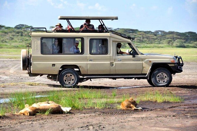 4-Day Tanzania Camping Safari to Lake Manyara, Serengeti, and Ngorongoro Crater - Day 3 to Ngorongoro: early Serengeti time and a rim approach