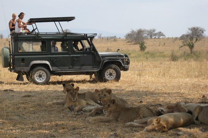 4-Day Tanzania Camping Safari to Lake Manyara, Serengeti, and Ngorongoro Crater - Camping, meals, and what “included” means when you’re outside