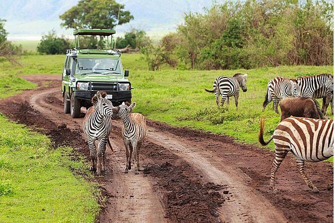 4-Day Tanzania Camping Safari to Lake Manyara, Serengeti, and Ngorongoro Crater - Guides, safety, and the driving style you should look for