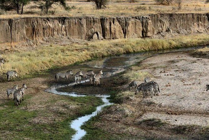 4 Day Tanzania Luxury Safari - Price and value: $3,182.06 per person and what you get for it