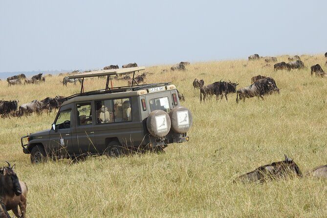 4-Day Tarangire, Serengeti, Ngorongoro Crater - Tarangire National Park: Baobabs, River Water, and Elephant Concentration