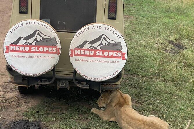 4-Day Tarangire Serengeti, Ngorongoro & Maasai Guided group tour - Day 3 Serengeti game drive at golden hour, then Simba campsite on the crater edge
