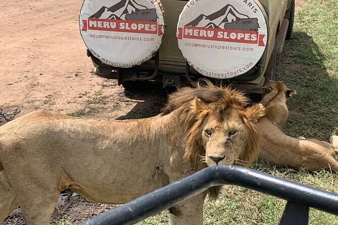 4-Day Tarangire Serengeti, Ngorongoro & Maasai Guided group tour - Camps, meals, and the real-comfort question