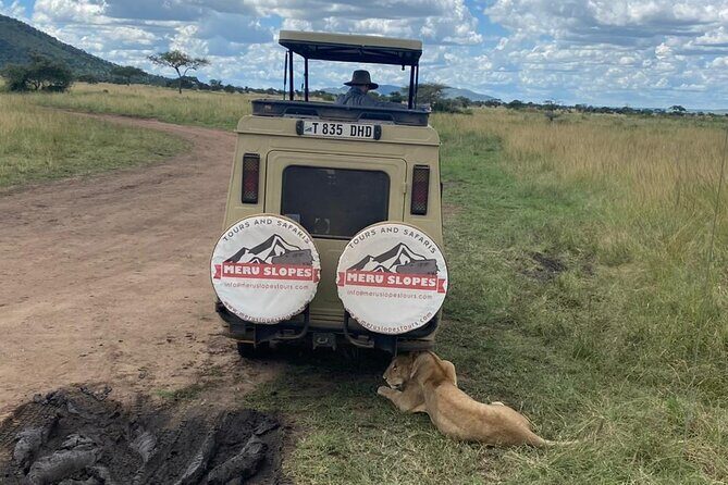 4-Day Tarangire Serengeti, Ngorongoro & Maasai Guided group tour - Day 1 Tarangire National Park: elephant focus and dry-season surprises