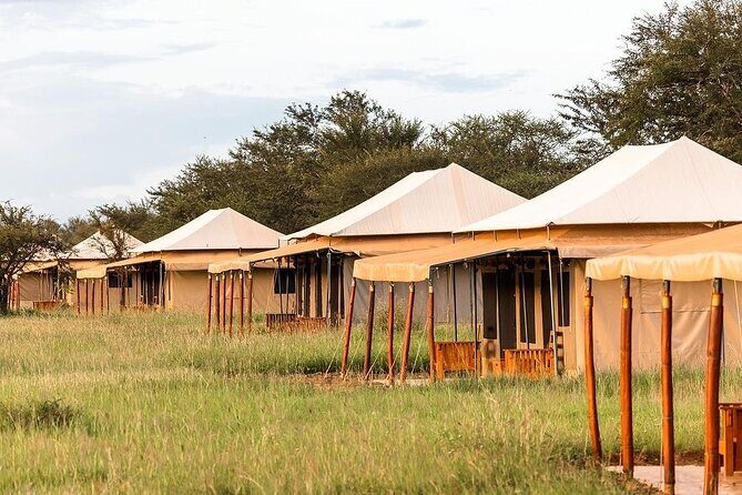 4-Day The Short of Tanzania Safari - Day 2: Serengeti full-day game drive with picnic lunch