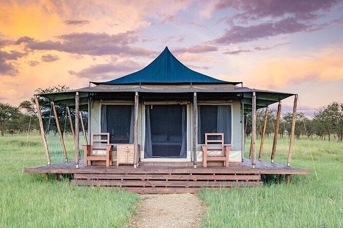 4-Day The Short of Tanzania Safari - Lodging and meals: why the food quality matters on safari