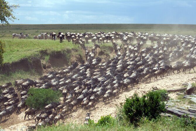 4-Day Tour to Tarangire, Serengeti and Ngorongoro - Quick highlights