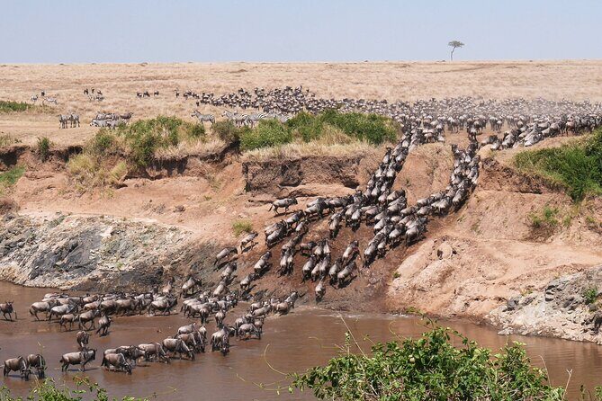 4-Day Tour to Tarangire, Serengeti and Ngorongoro - Getting Up at 6:00 am: Transport, Group Size, and Comfort