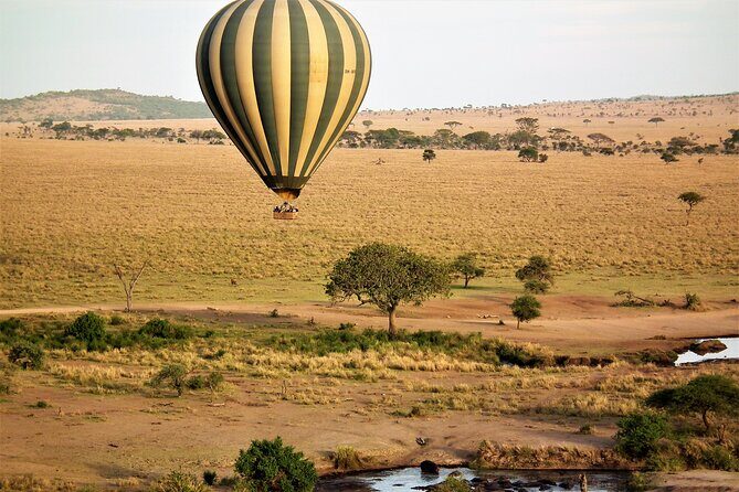 4-Day Tour to Tarangire, Serengeti and Ngorongoro - Price and What You Actually Get for $900