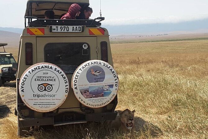 4 Days, 3 Nights Group budget Safari, Lake Manyara, Serengeti, Ngorongoro - The real MVPs: guides, 4WD Land Cruiser, and food that keeps you going