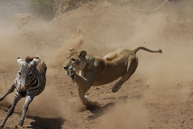 4 days 3 nights Safari- Tarangire, Serengeti and Ngorongoro Crater - Ngorongoro crater at 6:15 am: black rhino odds and the crater loop