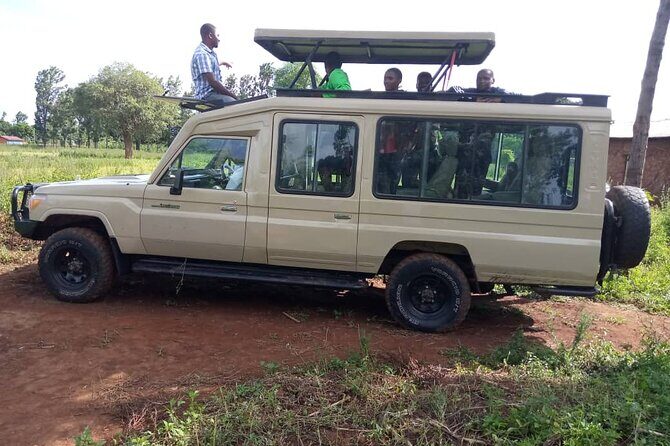 4 days / 3 Nights safari to Ruaha National park - Day 2: full-day game drive and picnic-lunch timing in the park
