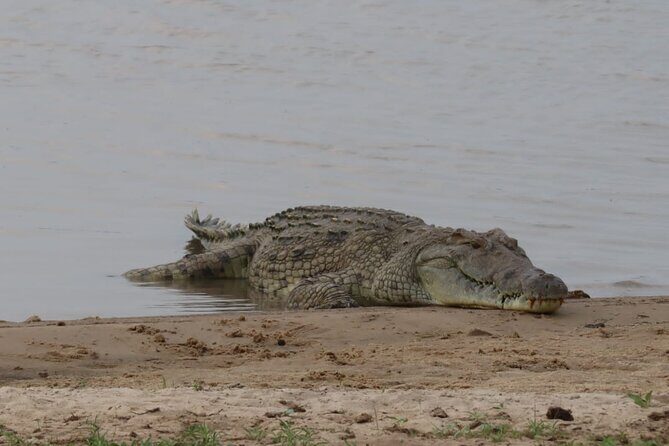 4 Days 3 Nights Selous (Nyerere national park) & Mikumi Adventure - Southern Circuit Safari: Nyerere Selous and Mikumi in Four Days