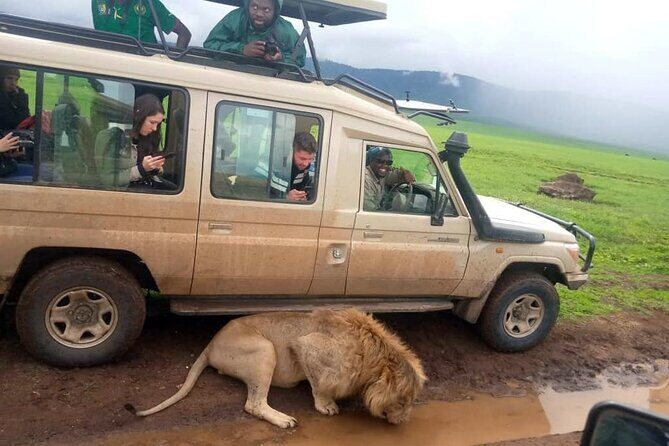 4 Days /3 nights Tarangire, Serengeti and Ngorongoro crater - Three Parks, One Tight Circuit From Arusha