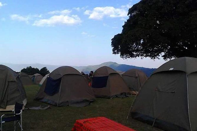 4 Days Affordable Tanzania Budget Safari - Tarangire National Park: Elephants You Can Almost Hear