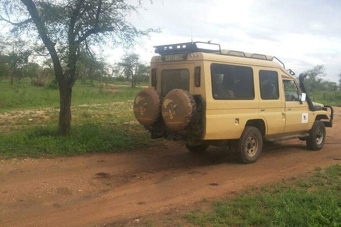 4 Days Affordable Tanzania Budget Safari - Ngorongoro Crater Day: A 600-Meter Descent Into a Wildlife Bowl