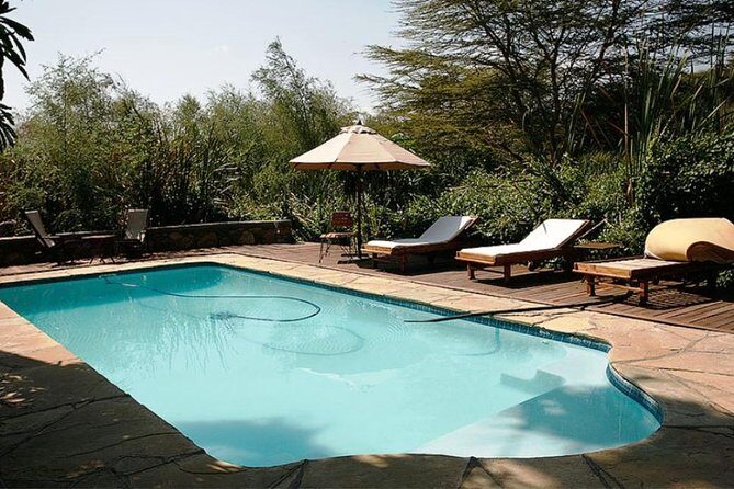 4 Days Affordable Tanzania Budget Safari - Picking This Operator With Clear Eyes: Great Potential, Real Risks